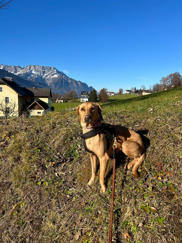 Mehr Info zu Nina 