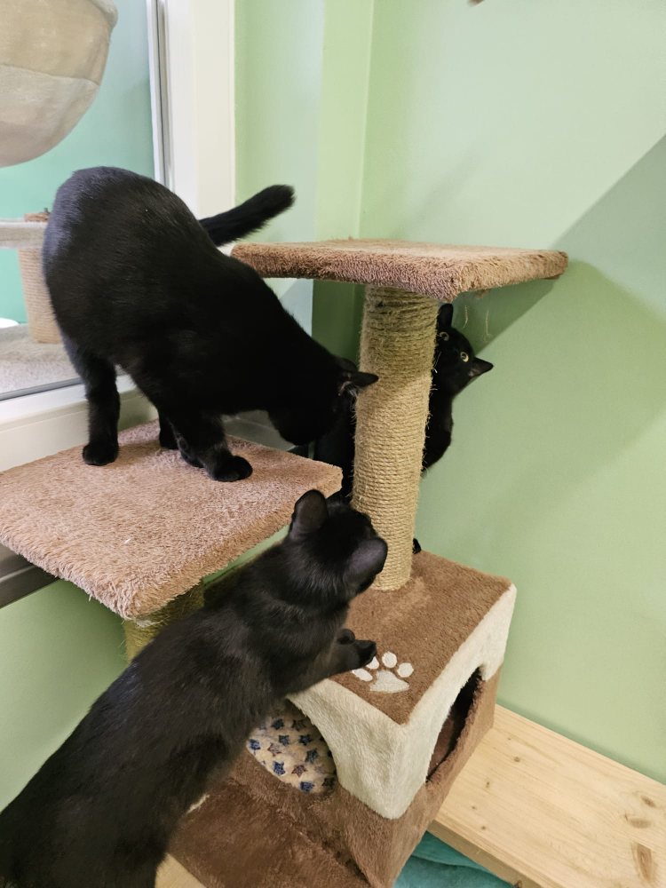Mehr Info zu Lilly und Luka