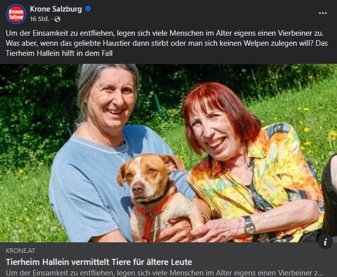 Bericht Krone: Tierheim Hallein vermittelt Tiere für ältere Leute