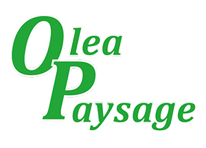 Olea Paysage Prestations Olea Paysage Aménagement et Entretien de Jardins Gif-sur-Yvette 