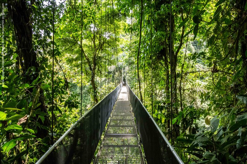 Costa Rica: Vorreiter für Klimagerechtigkeit und bio-kulturelle Diversität