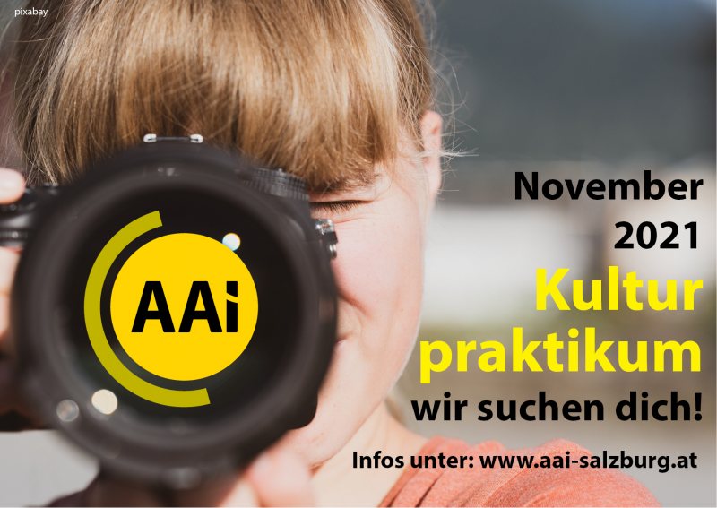 cultural internship